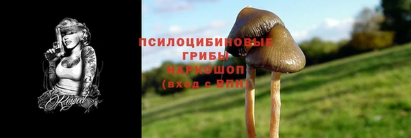 шишки Зеленокумск
