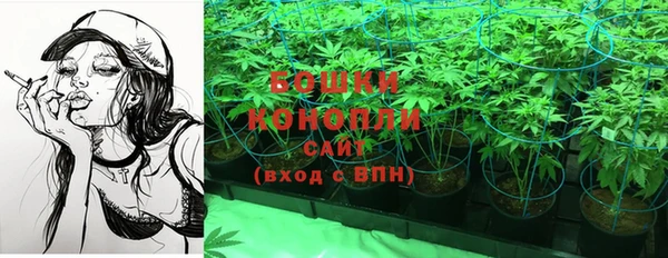 шишки Зеленокумск