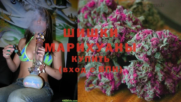 шишки Зеленодольск