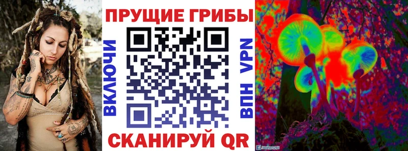 Купить закладки  Кунгур  Галлюциногенные грибы Cubensis 